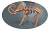 3D puzzle patterns-mammoth1-picture.jpg