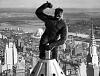 spaceagent-9 projects-classic-pose-king-kong.jpg