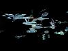 Star Trek TAS ships-tas-delta-triangle6.jpg