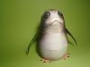 Papercraft Porg Life-size from the The Last Jedi-pieni_porg_002.jpg