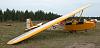Sailplanes available?-slingsby-t31-250.jpg