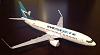 WestJet B737 in 1/100th scale-image.jpg