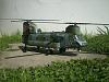 CH-47 &quot;Chinook&quot; - Hobby Model - 1:33-ch-47-chinook-00000.jpg