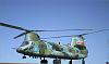 CH-47 &quot;Chinook&quot; - Hobby Model - 1:33-ch-47-chinook-00006.jpg