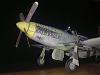 P 51 Halinski/ModelArt-200910131083.jpg