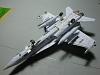 Boeing F/A - 18 Hornet / Super Hornet in 1/200 scale-dsc01683.jpg