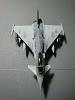 Lockheed F-22 Raptor in 1/200-dsc01658.jpg