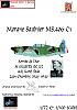 News from Gerry Paper Models - aircrafts-morane-saulnier-ms.406c1.jpg