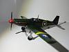 1/33 P-51A Mustang-img_20200123_112340.jpg