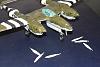 My 1/72 Scale Planes, 3rd Part-p-38-2-2-.jpg