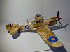 1/32 Kittyhawk Mk.III (&quot;Lady Godiva&quot;) No. 5 Squadron SAAF, Italy, 1945-img_20210306_123102.jpg