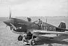 1/32 Kittyhawk Mk.III (&quot;Lady Godiva&quot;) No. 5 Squadron SAAF, Italy, 1945-saaf1.jpg