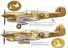 1/32 Kittyhawk Mk.III (&quot;Lady Godiva&quot;) No. 5 Squadron SAAF, Italy, 1945-saaf2.jpg