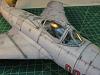 Mig-17F Gary's repaint-img_4126.jpg