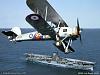 DO-24T: The forgotten planes-swordfish-ark-royal.jpg