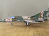 MiG 21 FiddlersGreen 1/60th-img_1211-grande.jpg