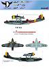DO-24T: The forgotten planes-cover.jpg