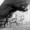 B-24J &quot;The Dragon and His Tail&quot;-2-dragon-his-tail-kingman-az-600.jpg