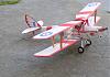 Tigers for Peace-dh-82a-woody.jpg