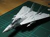 Flying model Grumman F-14 Tomcat scale 1/72-img_5116.jpg