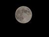 Full moon over Tokyo-img_8964.jpg