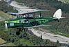 1/48 scale DH 83 Fox Moth-green-zk-apt-side.jpg