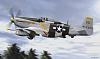 P-51D Mustangs-p-51d.jpg