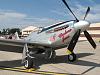 P-51D Mustangs-img_8209.jpg