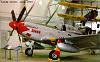 P-51D Mustangs-p51-4463615-1.jpg