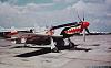 P-51D Mustangs-indonesian-p-51-mustang-team.jpg