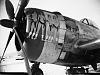 P-47 Thunderbolt &quot;The Milk Jug&quot; 1-33 [Marek redesigns]-eight_nifties.jpg
