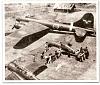 Japanese Forts-picture-article2.jpg