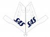 Douglas DC- 10 30 paper model in the works-tail_sas.jpg