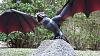 Game of Thrones' Drogon-drogon-final-09.jpg