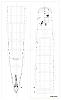 DD 886 u.s.s. Orleck design process-stem_004_tmp.jpg