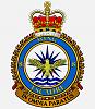 RCAF crest-8-wing-darker.jpg