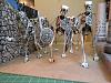 7 Skeletons-img_3211.jpg