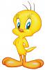 Looney Tunes tweety bird!-150985468.jpg