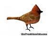 File extension-cardinal-bird-2.jpg