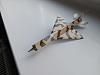 Peters Aircraft factory flyable paper models-20230210_161803.jpg