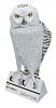 Birdmobile Little Owl-snowy-owl1.jpg