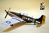 NOBI's P-51 Gunfighter in 1/33-dsc05974.jpg