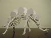 Stegosaurus Skeleton-dscf0020.jpg