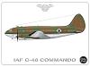 Name this bird-iaf-c-46-commando-amos-dor.jpg