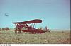 Polikarpov Po-2 Kartonowa Kolekcia 1:33-bundesarchive-5-169-0112.jpg