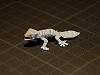 Pat Craft's Micro-Mini contest entry-gecko3.jpg