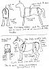 20 Mule Team-mule-drawing.jpg