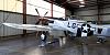 SBD Dauntless-4.jpg