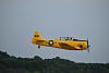 2021 Air Parade-t6-yellow-3.jpg