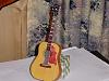 gibson hummingbird-p1010240.jpg